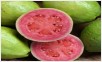 Guava Shells Recipe
