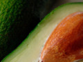Avocado Can Help Fight Bacteria