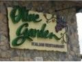 An Olive Garden Recipe Collection