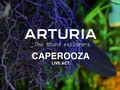 CAPEROOZA Live Act - ARTURIA The Sound Explorers via YouTube