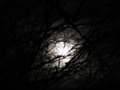 Bright Full Winter Moon