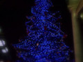 Blue and Silver Christmas Tree