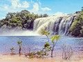 El parque Nacional Canaima es el segundo parque nacional más grande de Venezuela y uno de los más famosos del país y del mundo, ya que allí se encuentra el mayor salto de agua conocido: El salto Angel, con sus casi 1000 metros de altura. Las excursiones a la zona oriental del parque son memorables y relativamente fáciles de realizar, ya que hay una carretera asfaltada que atraviesa el parque desde Puerto Ordaz hasta Santa Elena de Uairen. En el parque Nacional Canaima, es donde se encuentran los famosos tepuyes, esas montañas de cumbres planas, que se presentan majestuosas en el horizonte, y que ofrecen unos ecosistemas realmente únicos, debido al aislamiento que produce su mayor altura con el resto de la sabana. En esas cumbres el clima es mucho más frío y húmedo debido a que las nubes se acumulan sobre ellas y producen un microclima especial, relativamente fresco cuando cubiertas, pero de una fuerte insolación cuando están expuestas al sol. Esto hace que su clima sea, en cierto modo, equiparable al de los páramos andinos. Quizás una de las cosas que más resalta en este parque, son sus ríos y los saltos de agua, como el Aponguao y el Kamarata. Algunas de las zonas del parque, solo son accesibles por aire, en avión, o navegando en canoas a lo largo de interesantes ríos. #canaima #venezuela #yaviajar #turismo #tourism #travel #tepuy #saltoangel #posadas #hoteles #valentinaquintero #kerepakupaivena #bolivar #domingo