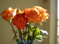 orange bouquet of flowers in vase