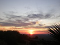 Desert Sunset with palm tree