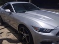 #IMPECABLE 🔥  Mustang 2016 V8 sincrónico con solo 1.600 millas. Totalmente impecable. Varios extras  Ubicación Caracas Precio 44.000$  📲0414.5088556 whatsapp   #maracay#valencia#caracas#merida#zulia#barinas#lecheria#maturin#mustang#ford#v8#carrosenventa
