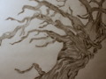 Windy Tree Pencil Drawing