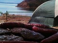 #tbt En mi adorado Pueblo . . .  Los mejores momentos son los más sencillos!!!! . . .  Pesca 🎣 . . . Camping 🏕️ . . Barbacoa 🔥🍔🥩 . Tanita. ❤️ ❤️❤️