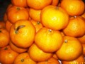 Kiat-kiat (Mandarin Oranges) #fruits #photo #orange