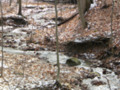 Stream at Highland Banks