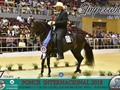 PONCE INTERNACIONAL 2018  POTROS PASO FINO 49 A 59 MESES  PRIMER PUESTO: Impecable de WJ (Firmamento de Agualinda x La Nube del Tres Abuelo materno: Tormento de la Virginia)  SEGUNDO PUESTO: Dinamo de Santa Fe (Servidor de JF x La Dinamita de la Mega abuelo materno: El Classico de Plebeyo)  TERCER PUESTO: Gedeon del Alba (Independiente de Don Andres x Maravilla de Selecta abuelo materno: Pedregal del Conde)  CUARTO PUESTO: Picasso de Mis Sueños (El Seque del Rocio x Rocio del Conde abuelo materno: Da Vinci de los Reyes)  QUINTO PUESTO; El Ungido (Joyero III x La Tradición de Cuatro Aces Abuelo materno: Capuchino)  #cavalos #equinos #caballos #ccc #caballocriollocolombiano #pasofino #pasofinocolombiano #pasohorse @edwingiraldoproducciones #edwinproducciones @criaderodelareina @losabiertos #ponceinternacional #ponce @criaderolam  @poche_rivera