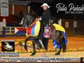 EXPOSICIÓN EQUINA GRADO A CENTENARIO - CHIQUINQUIRÁ 2019  TROTE Y GALOPE  GRAN CAMPEONA Talia Puñales de San Isidro (Tayrona del Paso x María Puñales)  CAMPEONA RESERVADA Serpentina de Pirámides del Potrillo (Bravio de Carpali x Sensación de Pirámides del Potrillo)  PRIMERA FINALISTA Arrolladora de la Concepción (Sol de la Armonía x Fogata de Villa Heidy)  SEGUNDA FINALISTA Doña Ruby de la Fortuna (Lujano de las Guacas x Preciosa del Manantial)  TERCERA FINALISTA Sorpresa de Carpali (Coralito de la Milagrosa x Castañuela)  CUARTA FINALISTA Consentida de San Miguel (Hermano Sol de Villa Milena x Toya de Villa Carolina)  #cavalos #equinos #caballos #ccc #caballocriollocolombiano #pasofino #pasofinocolombiano #pasohorse #fedequinas #edwinproducciones #trocha #trochaygalope #trote #horses #horse #horsesofinstagram #toptags #horseshow #horses_of_instagram #horsestagram #instahorses #instagood #ilovemyhorse #chiquinquira @potrosboyaca @criadero_caba @criaderocarpali @walter_plazas_2014