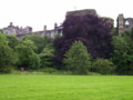 Cockermouth Castle