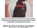 Se busca sacha