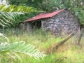 Old stone building in the wilderness