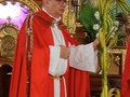 #Abr02 Con la Bendición de Los Ramos y la Procesión hasta la Catedral, el Arzobispo de Mérida, Monseñor Helizandro Terán, inició los actos Litúrgicos del Domingo de Ramos y la Semana Santa Merideña