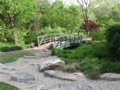 Bridge 1 - Fort Worth Botanical Gardens