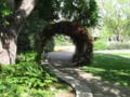 Flower Walk 1 - Fort Worth Botanical Gardens