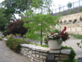 Flowers in White Pot 1 - Fort Worth Botanical Gardens