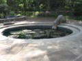 Small Pond 1 - Fort Worth Botanical Gardens