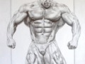 Drawing a real athlete of bodybuilding "Nacer Sambati" part 2