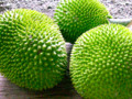 The Kamansi Fruit