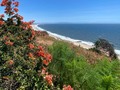 Pacific Palisades 🖤  . . . . .  #California #Ocean #BeautifulVista #SantaMonica #PacificPalisades #Nature #Travel #Coast