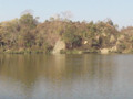 Panoramic view of a Part of a natural lake