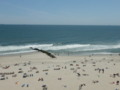 A Beach View in Long Beach