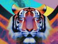 Mr. Tiger . . . . . . . . . . . . . . . . . . . . . . . . . . . . . #tiger #animal #graphic #pop #popart #art #artist #digital #digitalart