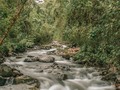 En lo alto de las montañas, dónde se acumula el agua de la lluvia formando corrientes naturales y lagos que dan lugar a los primeros cauces de los ríos, se enmarcó el inicio de nuestra historia. Valle de Cocora | Colombia
