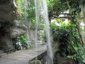 Waterfall In Glass House