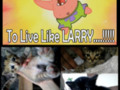 Living Like Larry