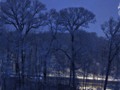 Snowy Twilight Scene