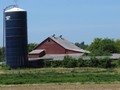 Dairy Farm