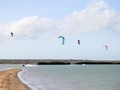 "Calling all adventure seekers and water sports enthusiasts! 🌊🏄‍♂️  Join us on an exhilarating Kite Trip that will take you to new heights! 🪁✨  🗓️ Date: 15-19 of August 2023 🌴 Destination: Cabo de la Vela and Punta Gallinas ⛺ Accommodation: shared rooms 🎟️ Limited spots available, secure your spot now!  Whether you're a seasoned pro or a total beginner, this trip promises an unforgettable experience for everyone. Our team of expert instructors will be there to assist and guide you throughout, ensuring you have a safe and thrilling time on the water. 🤝💦  Get ready to soar with the wind, ride the waves, and experience the adrenaline rush like never before. Feel the freedom and connection with the elements as you glide across the turquoise waters. 🌊🏄‍♀️💨  In addition to the epic Kiteboarding sessions, we'll also indulge in beachside bonfires, BBQs, and fun beach games. Not to mention, the chance to make new friends who share the same passion for adventure! 🌅🔥🍔  Don't miss out on this incredible journey! Reserve your spot today and embark on a trip that will leave you with memories to cherish forever. 📞🌟  For inquiries and bookings, contact us at 320 5281665.  Let's make this Kiteboarding Trip an unforgettable experience together! 🤙😎"