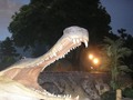 Prehistoric Aligator at the Dinosaur Walk Museum in Pigeon Forge