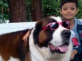 st bernard at baguio city