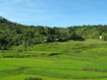 Ricefields , Kapangan, Benguet, Philippines