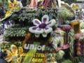 Baguio City Float parade - Flower festival (Panagbenga)