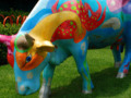 Colorful Cow