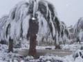 Snow in Tunisia-5