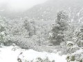 Snow in Tunisia-7