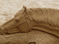 A Resting Horse sand sculpture