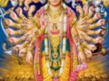 Lord Vishnu Viraat Roop