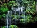 Russell Falls Tasmania