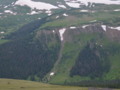 Animals in the Colorado Rockies in High Altitude