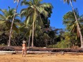 📍PLAYA DORADA 🐼   Uramba Bahía Málaga es un parque Nacional con 47.094 hectáreas ¿se imaginan cuántos lugares maravillosos y especies increíbles albergan aquí ?🍃  Los Vallecaucanos no necesitamos ir muy lejos para encontrar grandes tesoros a tan solo 45 minutos de Buenaventura y a tan solo 20 minutos de Juanchaco se puede llegar a esta hermosa playa 💚   La conocí gracias a @santiiago.narvaez de @pacific.landscape hace mucho tiempo atrás. Este intérprete de la zona vivió 13 años aquí y se conoce demasiado bien el parque además de la pasión con la que habla del sitio que lo vio crecer 🍃  A esta playita puedes llegar caminando unos 25 minutos a buen ritmo o también en lancha, pero debes averiguar las mareas y yo como siempre con mi 🐼 para todos lados @viajandoconunpanda   #playadorada #pacifico #urambabahiamalaga #bahiamalaga #turismocolombia #turismocalicolombia #valledelcauca #viveazuldelmar #parquenacional #goodvibes