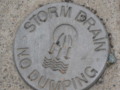 Storm Drain Cover