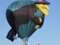 Witch Hot Air Balloon